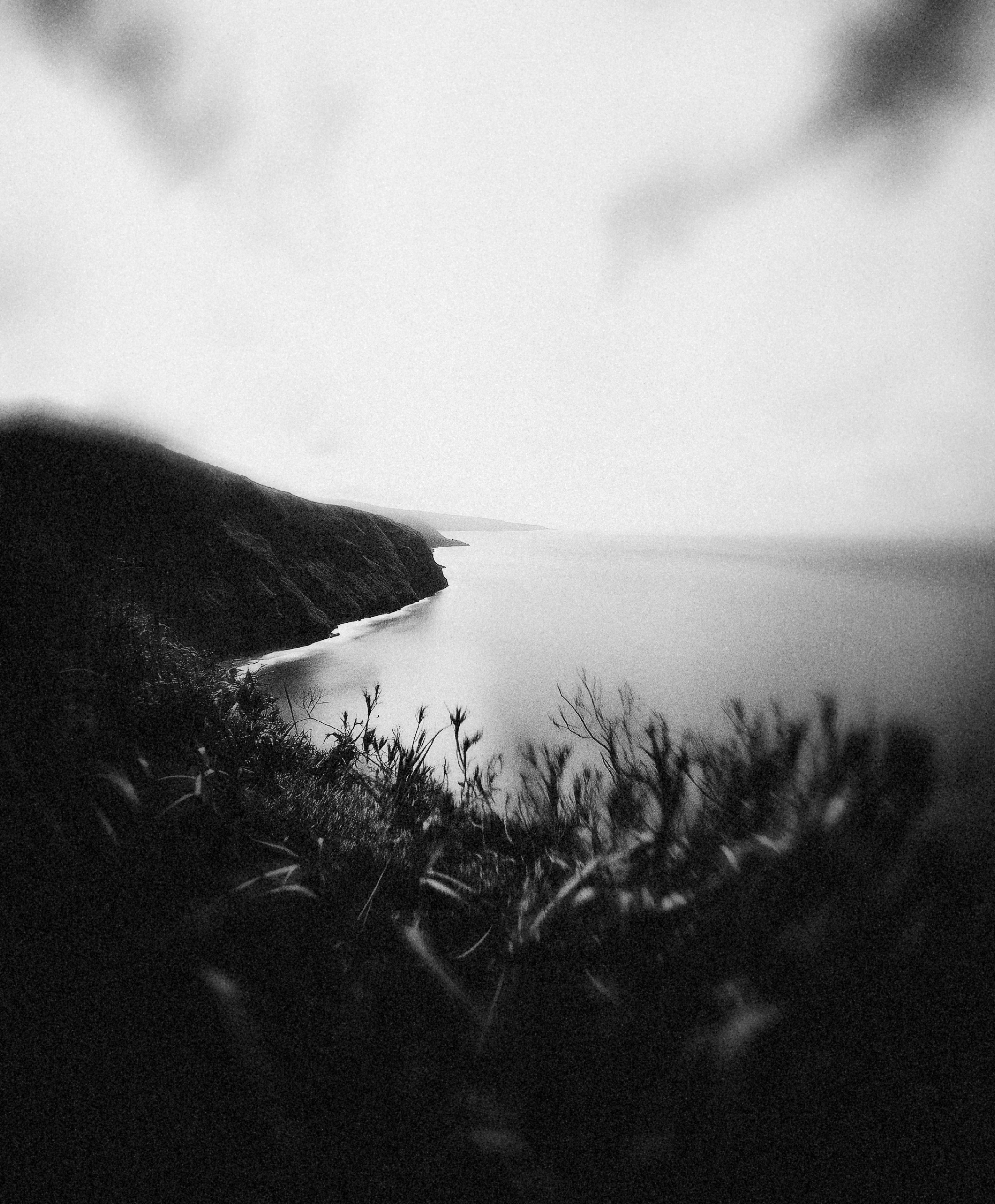 Black-and-white coastline with steep cliffs, still water and soft foreground foliage.